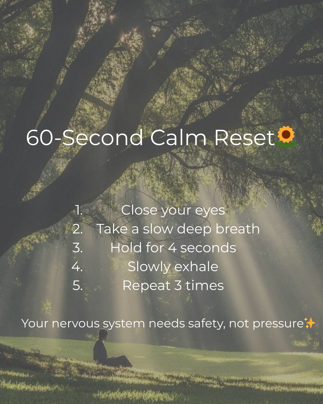 Find calm in the chaos 🌿