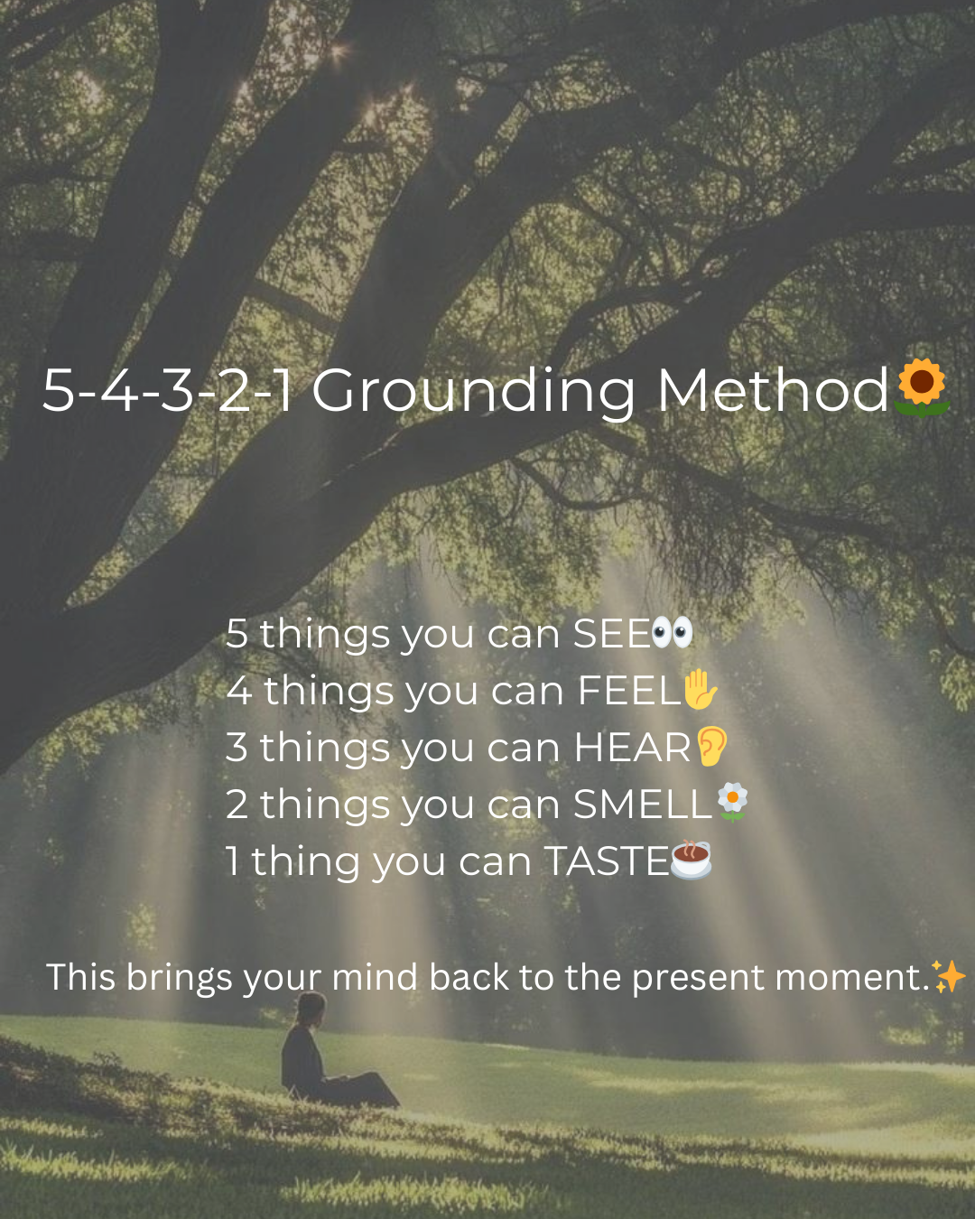 Find calm in the chaos 🌿