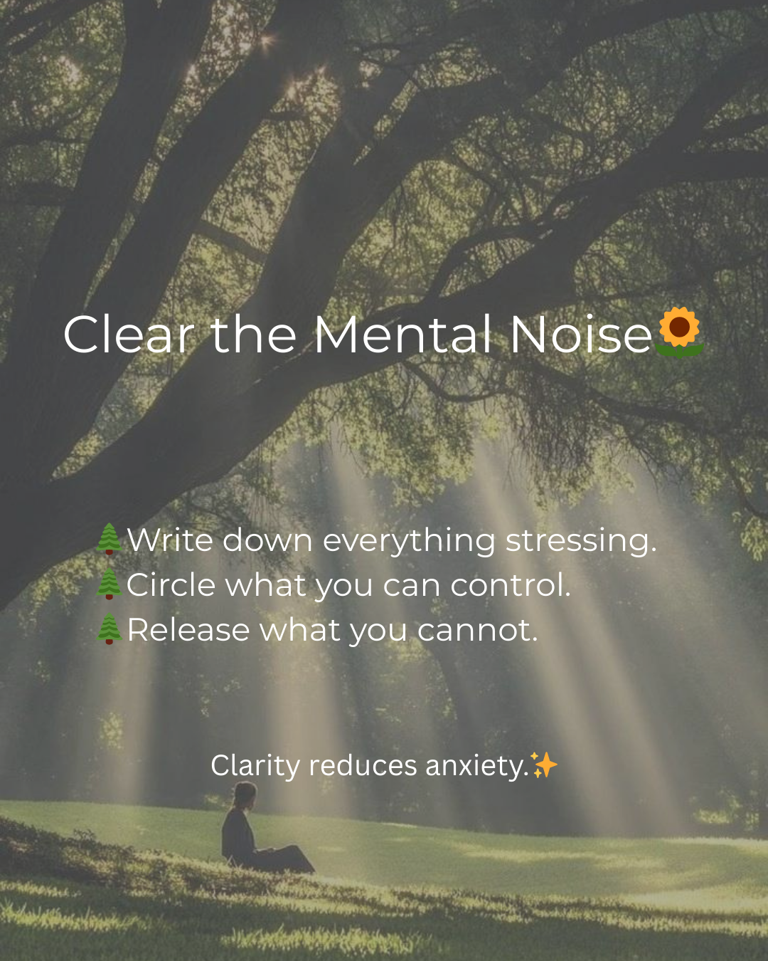 Find calm in the chaos 🌿