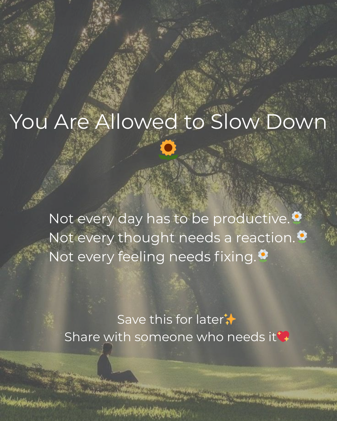 Find calm in the chaos 🌿